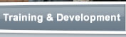 Training and Development